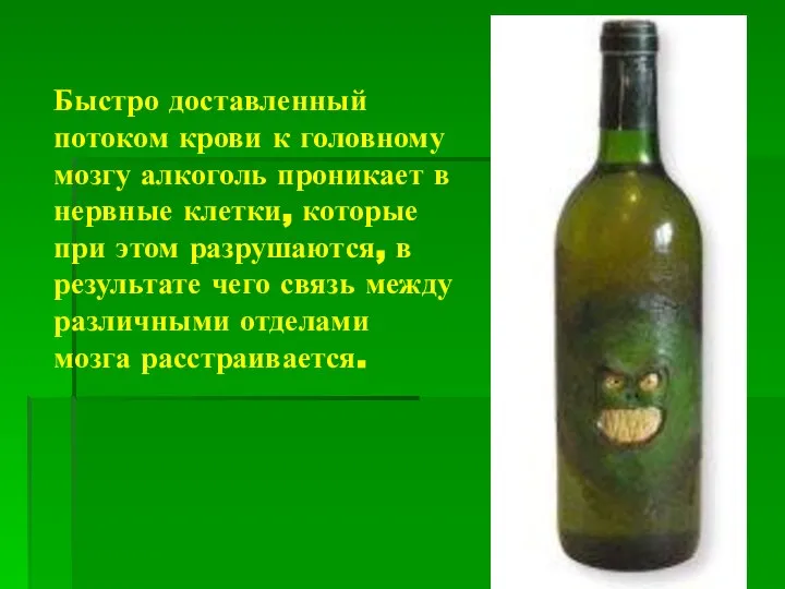 Быстро доставленный потоком крови к головному мозгу алкоголь проникает в нервные клетки,