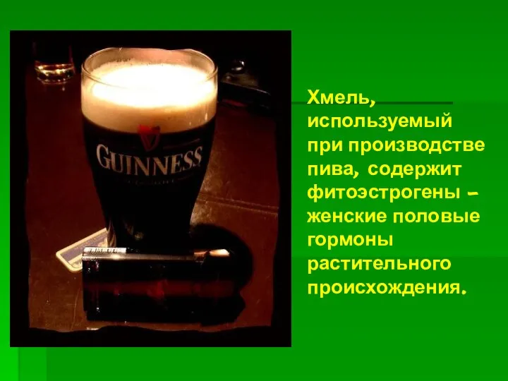 Хмель, используемый при производстве пива, содержит фитоэстрогены – женские половые гормоны растительного происхождения.