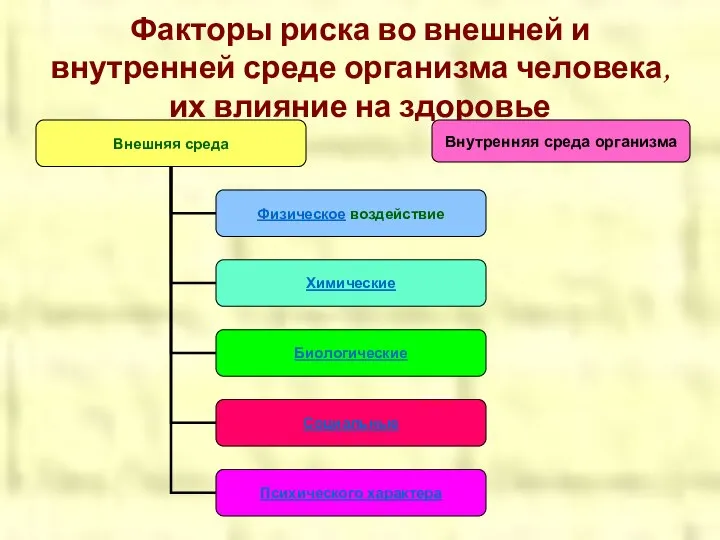 Факторы риска во внешней и внутренней среде организма человека, их влияние на здоровье Внутренняя среда организма