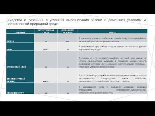 Сходства и различия в условиях выращивания зелени в домашних условиях и естественной природной среде: