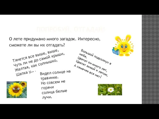 ПОПРОБУЙ, ОТГАДАЙ! О лете придумано много загадок. Интересно, сможете ли вы их