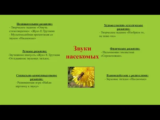 Познавательное развитие: - Творческое задание «Озвучь стихотворение»: «Жук» Е.Трутнева - Мультимедийная презентация