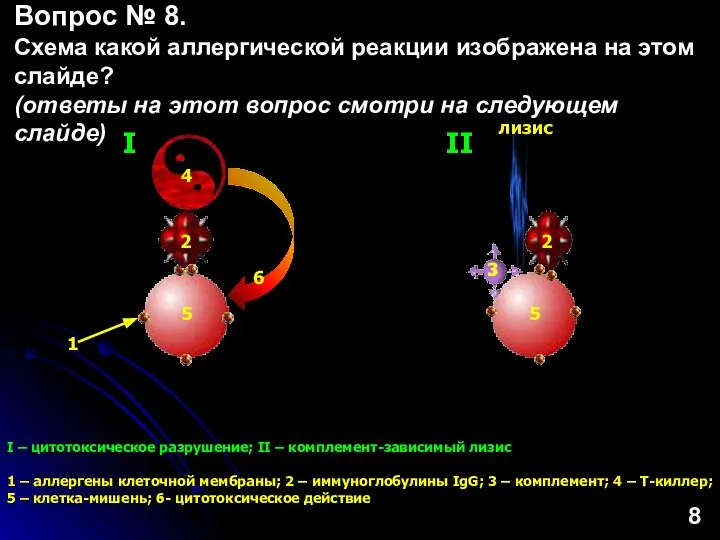 I – цитотоксическое разрушение; II – комплемент-зависимый лизис 1 – аллергены клеточной