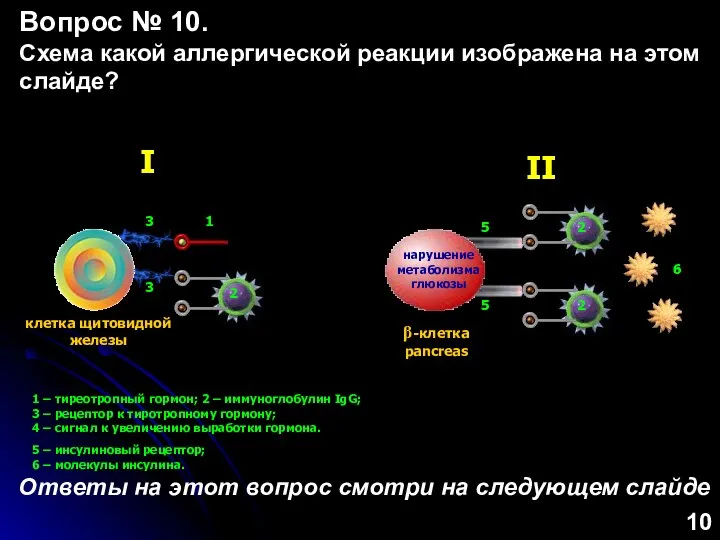 I 1 – тиреотропный гормон; 2 – иммуноглобулин IgG; 3 – рецептор