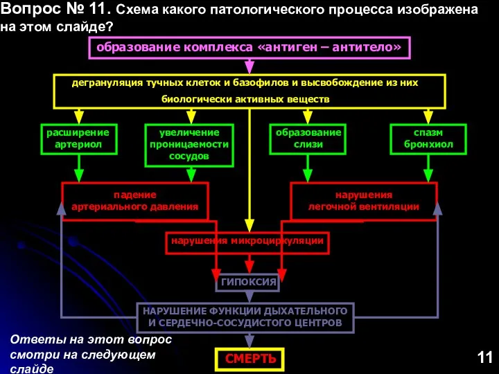 дегрануляция тучных клеток и базофилов и высвобождение из них биологически активных веществ