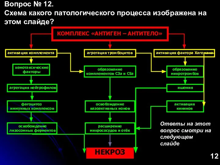 КОМПЛЕКС «АНТИГЕН – АНТИТЕЛО» активация комплемента агрегация тромбоцитов активация фактора Хагемана хемотаксические