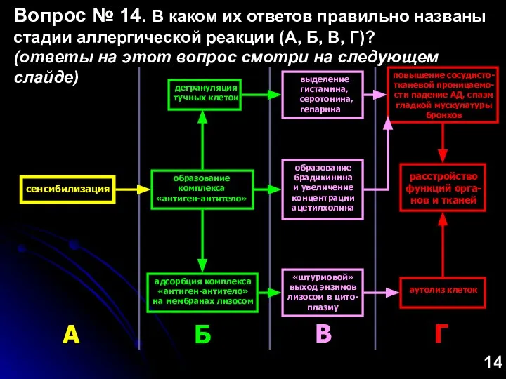 сенсибилизация А образование комплекса «антиген-антитело» дегрануляция тучных клеток адсорбция комплекса «антиген-антитело» на