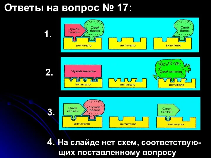 Ответы на вопрос № 17: 1. 2. 3. 4. На слайде нет