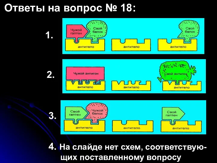 Ответы на вопрос № 18: 1. 2. 3. 4. На слайде нет