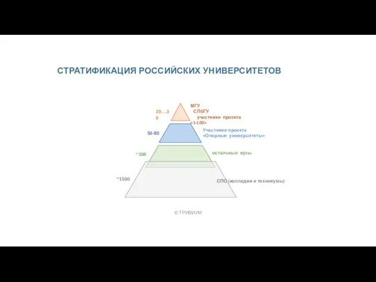 20…30 50-80 ~300 ~1500 СПО (колледжи и техникумы) МГУ СПбГУ участники проекта