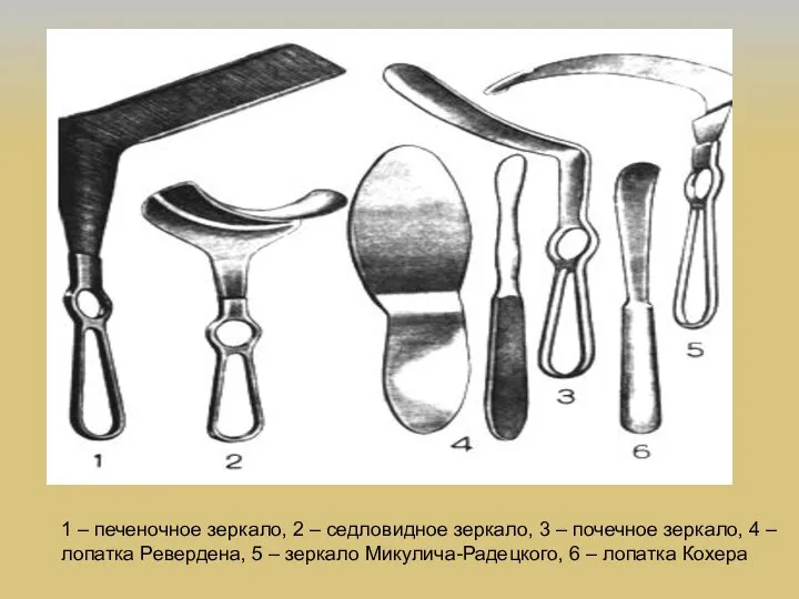 1 – печеночное зеркало, 2 – седловидное зеркало, 3 – почечное зеркало,