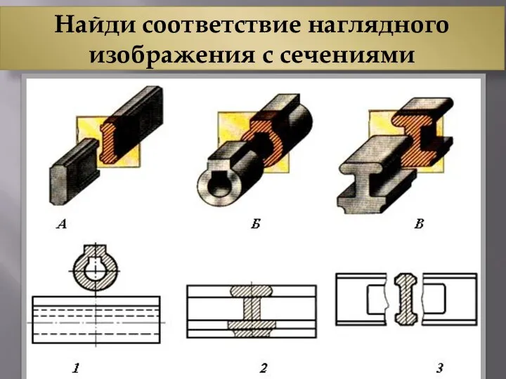 Найди соответствие наглядного изображения с сечениями