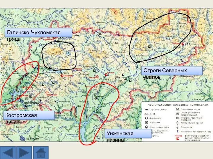 Унженская низина Костромская низина Галичско-Чухломская гряда Отроги Северных увалов