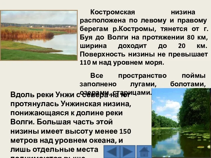 Костромская низина расположена по левому и правому берегам р.Костромы, тянется от г.Буя