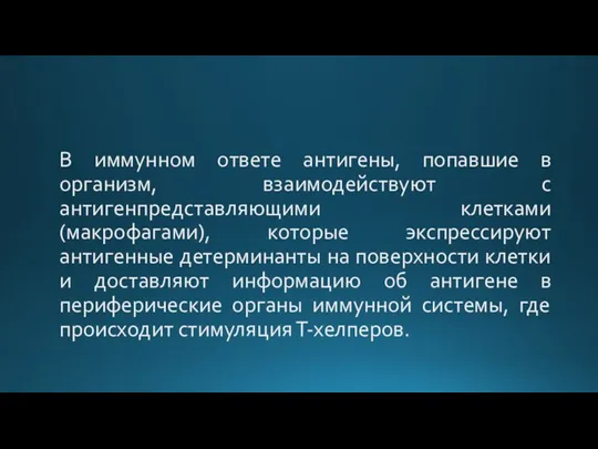 В иммунном ответе антигены, попавшие в организм, взаимодействуют с антигенпредставляющими клетками (макрофагами),