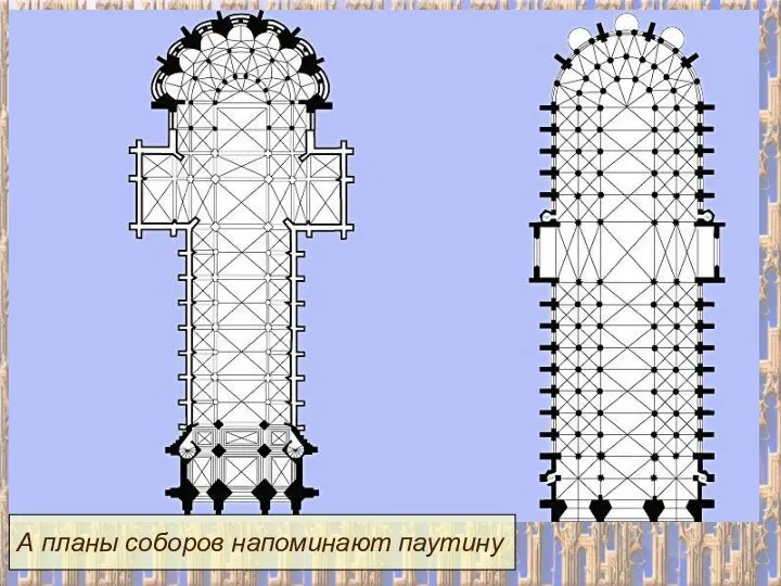 А планы соборов напоминают паутину