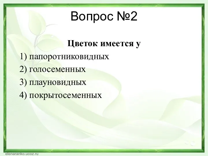 Вопрос №2 Цве­ток име­ет­ся у 1) па­по­рот­ни­ко­вид­ных 2) го­ло­се­мен­ных 3) пла­у­но­вид­ных 4) по­кры­то­се­мен­ных