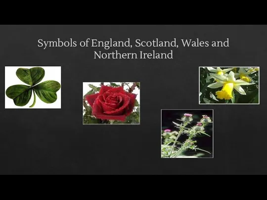 Symbols of England, Scotland, Wales and Northern Ireland
