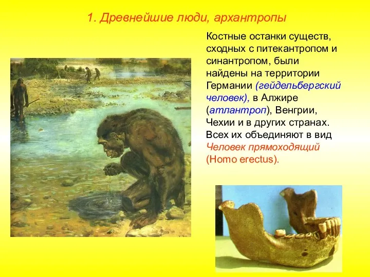 1. Древнейшие люди, архантропы Костные останки существ, сходных с питекантропом и синантропом,