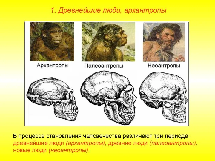 1. Древнейшие люди, архантропы В процессе становления человечества различают три периода: древнейшие