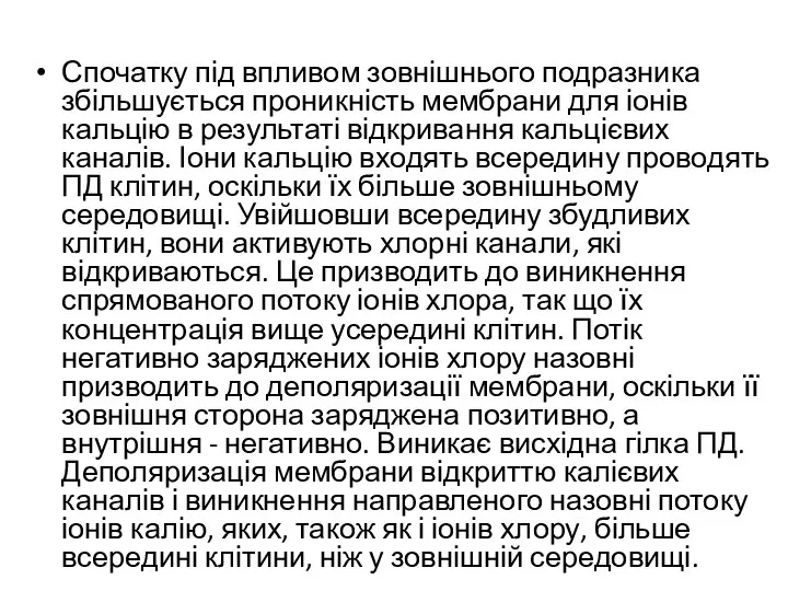 Спочатку під впливом зовнішнього подразника збільшується проникність мембрани для іонів кальцію в