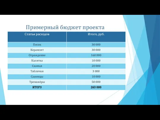 Примерный бюджет проекта