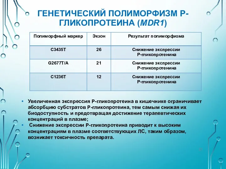 ГЕНЕТИЧЕСКИЙ ПОЛИМОРФИЗМ P-ГЛИКОПРОТЕИНА (MDR1) Увеличенная экспрессия P-гликопротеина в кишечнике ограничивает абсорбцию субстратов