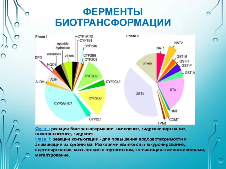 ФЕРМЕНТЫ БИОТРАНСФОРМАЦИИ Фаза I: реакции биотрансформации: окисление, гидроксилирование, восстановление, гидролиз. Фаза II: