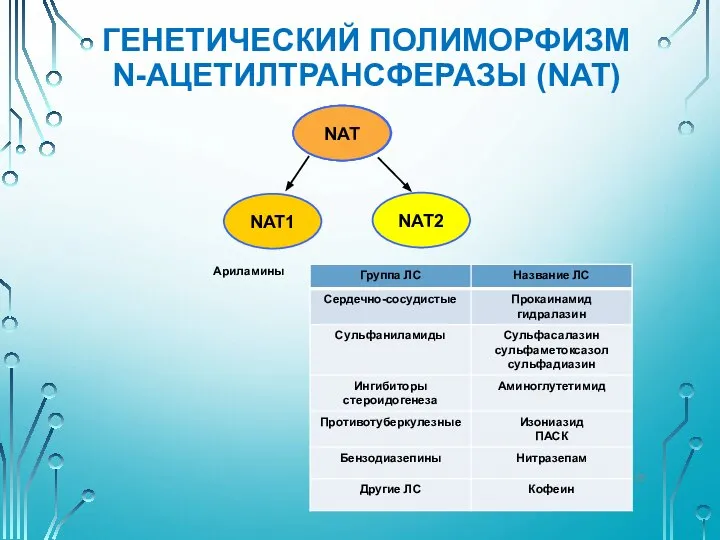 ГЕНЕТИЧЕСКИЙ ПОЛИМОРФИЗМ N-АЦЕТИЛТРАНСФЕРАЗЫ (NAT) NAT NAT NAT NAT2 NAT1 Ариламины