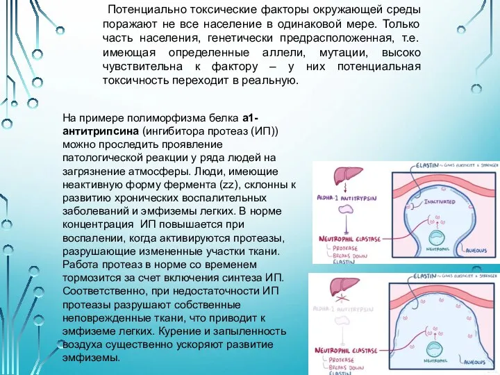 Потенциально токсические факторы окружающей среды поражают не все население в одинаковой мере.