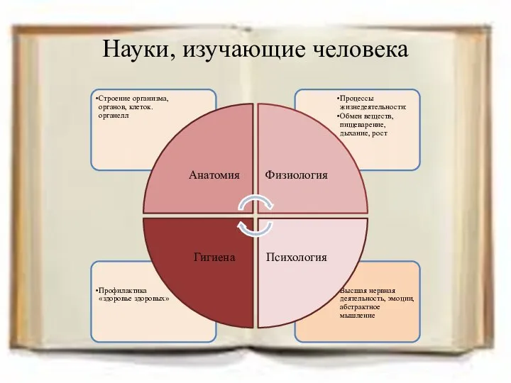 Науки, изучающие человека