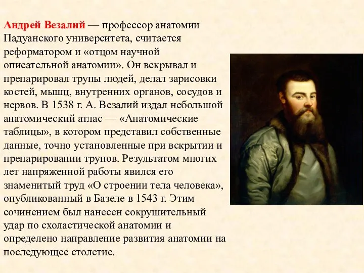 Андрей Везалий — профессор анатомии Падуанского университета, считается реформатором и «отцом научной