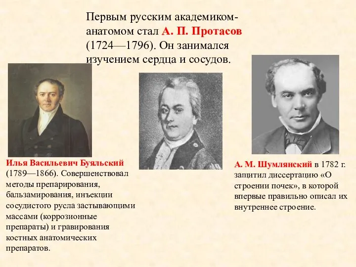 Первым русским академиком-анатомом стал А. П. Протасов (1724—1796). Он занимался изучением сердца