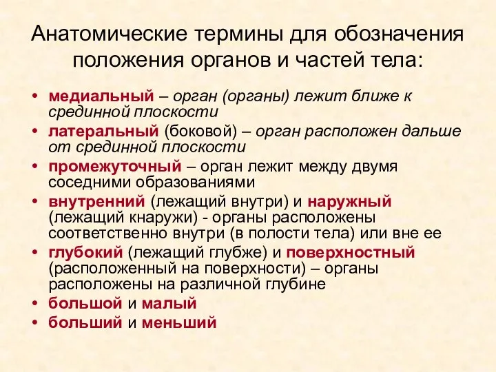 Анатомические термины для обозначения положения органов и частей тела: медиальный – орган