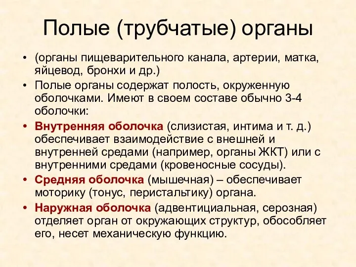 Полые (трубчатые) органы (органы пищеварительного канала, артерии, матка, яйцевод, бронхи и др.)