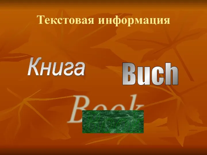 Текстовая информация Книга Book Buch