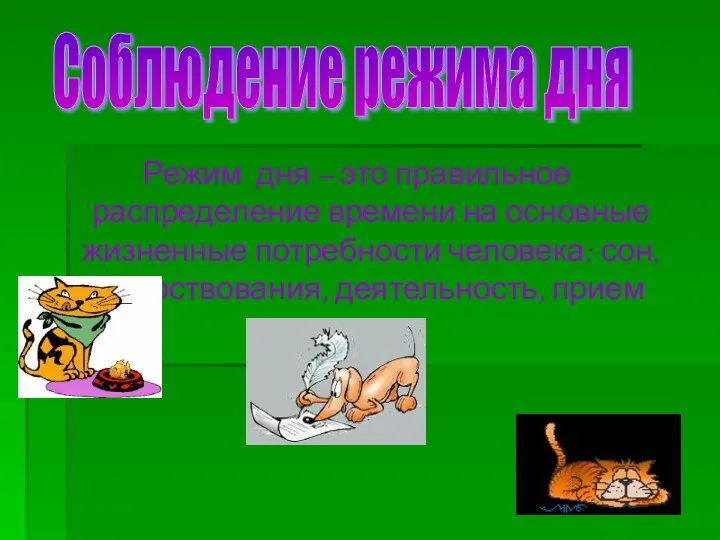 Режим дня – это правильное распределение времени на основные жизненные потребности человека: