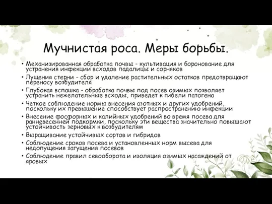 Мучнистая роса. Меры борьбы. Механизированная обработка почвы - культивация и боронование для