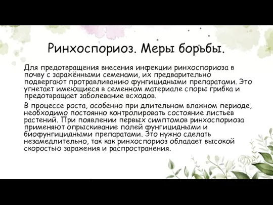 Ринхоспориоз. Меры борьбы. Для предотвращения внесения инфекции ринхоспориоза в почву с заражёнными