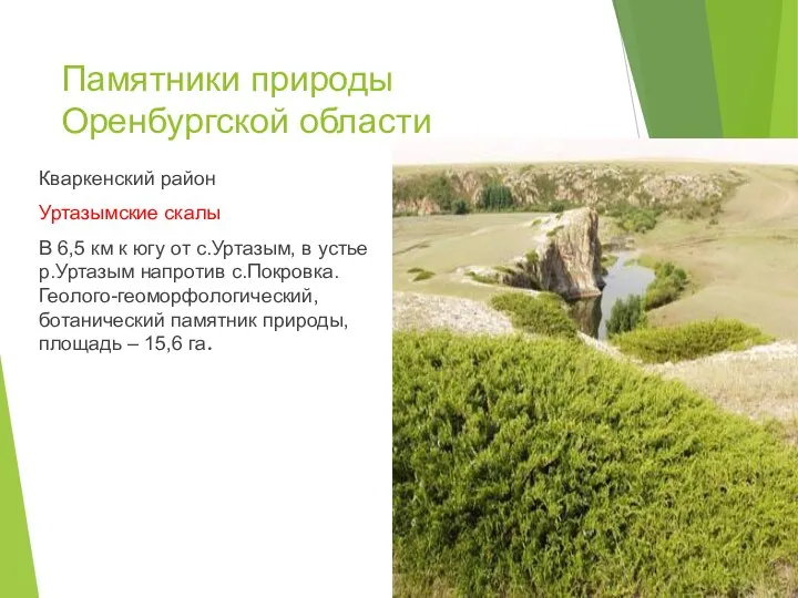 Памятники природы Оренбургской области Кваркенский район Уртазымские скалы В 6,5 км к