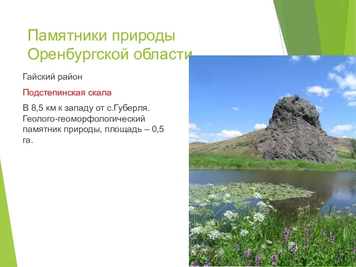 Памятники природы Оренбургской области Гайский район Подстепинская скала В 8,5 км к