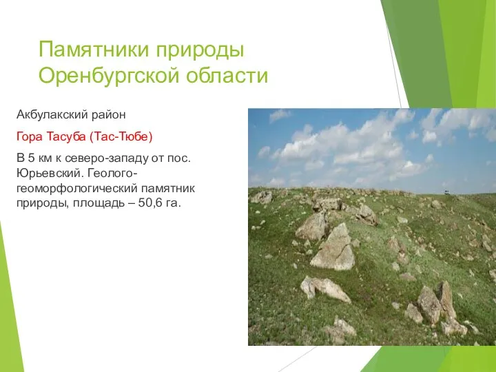 Памятники природы Оренбургской области Акбулакский район Гора Тасуба (Тас-Тюбе) В 5 км
