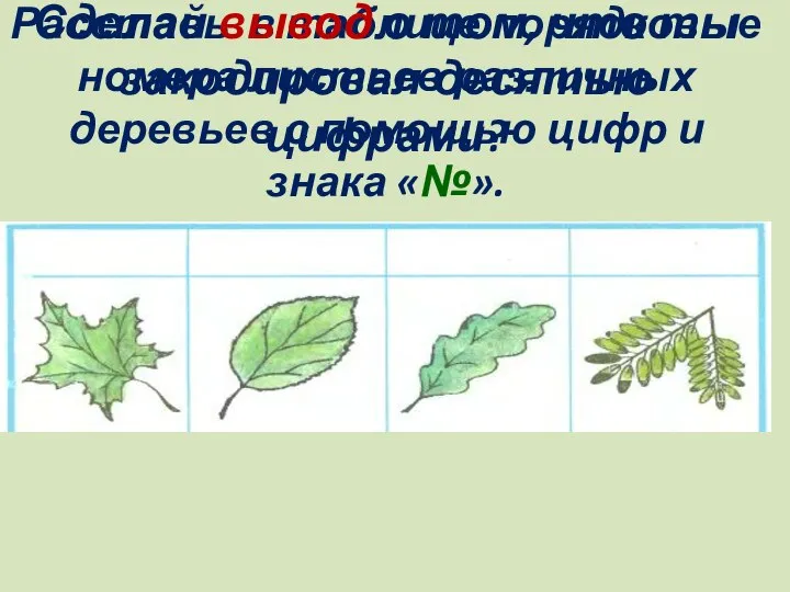 Расставь в таблице порядковые номера листьев различных деревьев с помощью цифр и