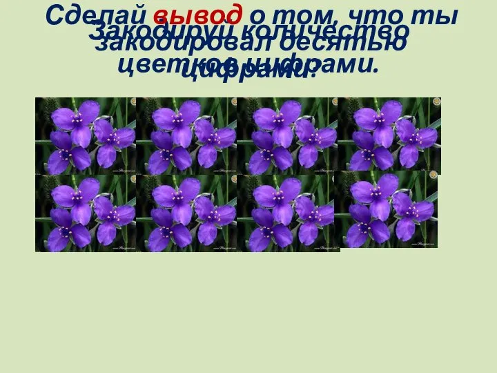 Закодируй количество цветков цифрами. Сделай вывод о том, что ты закодировал десятью цифрами?