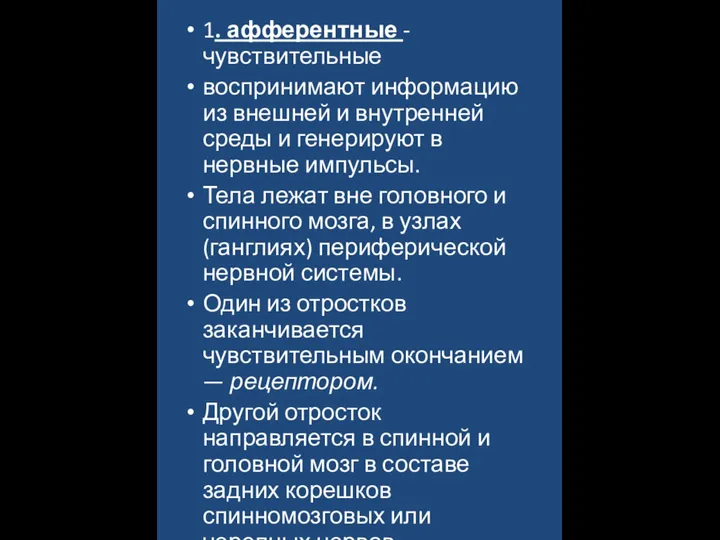 1. афферентные - чувствительные воспринимают информацию из внешней и внутренней среды и