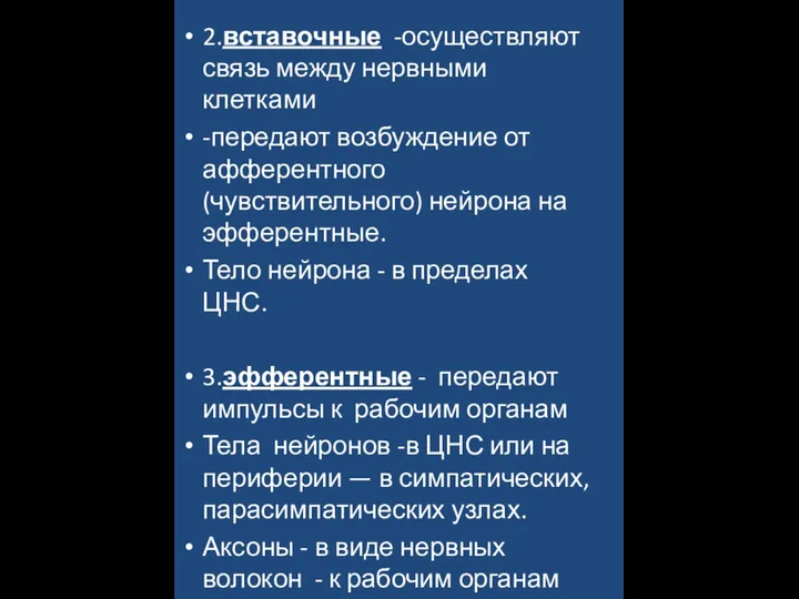 2.вставочные -осуществляют связь между нервными клетками -передают возбуждение от афферентного (чувствительного) нейрона