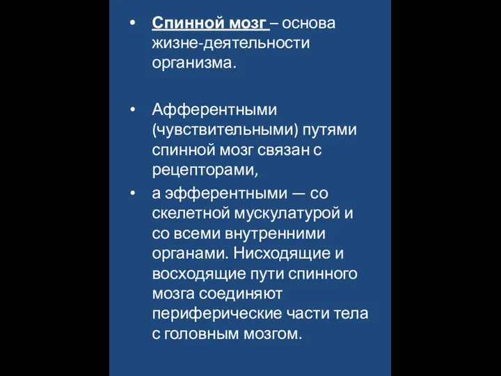 Спинной мозг – основа жизне-деятельности организма. Афферентными (чувствительными) путями спинной мозг связан