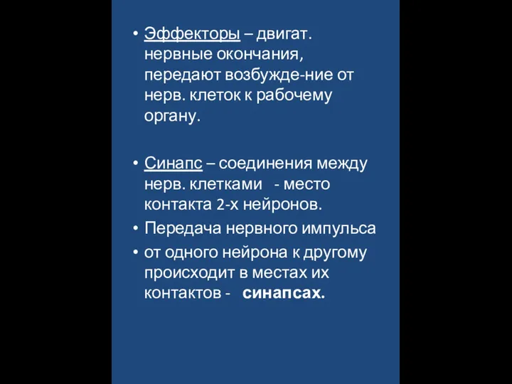 Эффекторы – двигат. нервные окончания, передают возбужде-ние от нерв. клеток к рабочему