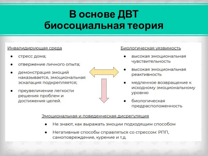 В основе ДВТ биосоциальная теория