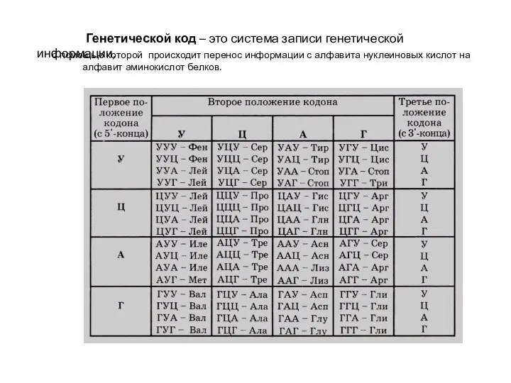 Генетической код – это система записи генетической информации, с помощью которой происходит